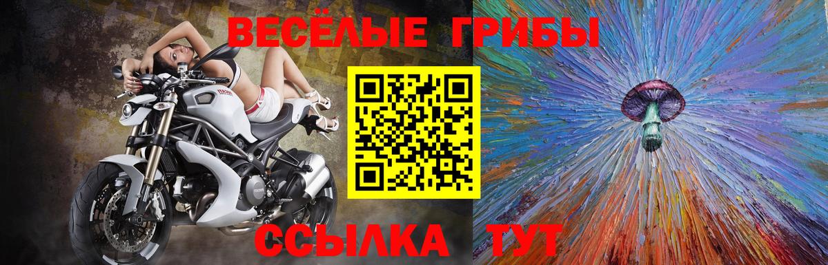 Нефтеюганск  Галлюциногенные грибы Psilocybe  Вход с VPN 